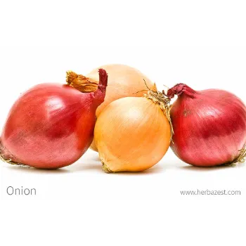Onion (19)-4699204-18650.webp